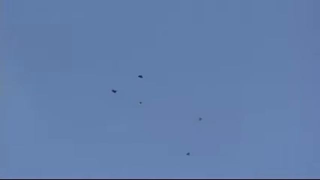 Николаевские голуби серпастые в облаках смотреть онлайн