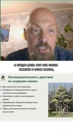 Последовательность действий по созданию ниваки. Часть 1