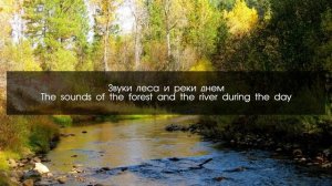 Звуки леса, реки, водопада днём
