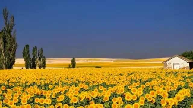 Природа смотреть онлайн