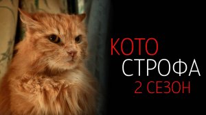 Котострофа 1-12 серия 2 сезон сериал мелодрама комедия премьера СТС 2025