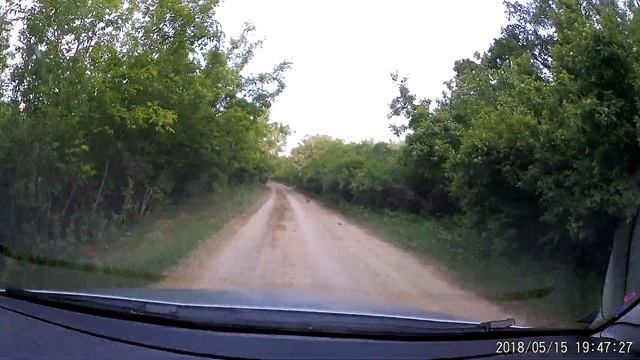 Badger смотреть онлайн