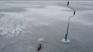 Проверка сетей зимой