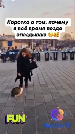 🌟 Почему я постоянно опаздываю 🐈