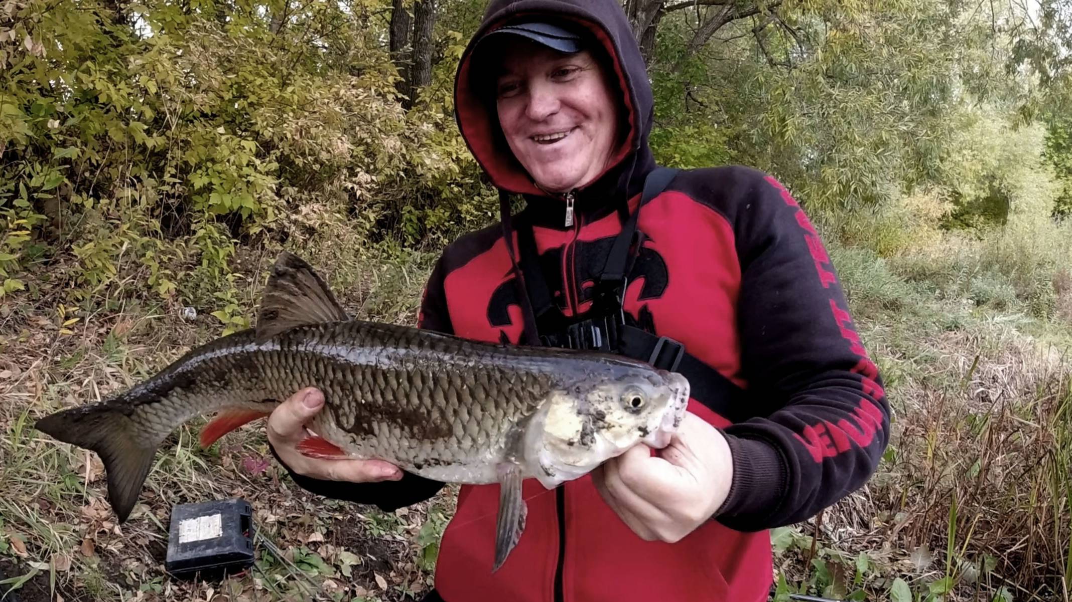 Осенние Трофеи на реке Сок в Сентябре! Рыбалка с берега на донки смотреть онлайн