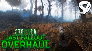 КОТАЛИТИ (9) ► S.T.A.L.K.E.R. Last Fallout Overhaul (LFO)