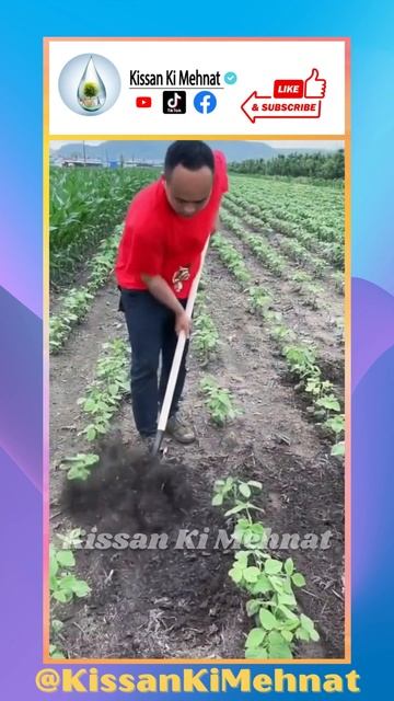 Soil Loosening Rake Hoe | Vegetable Cultivation Tool |  Hand Pulling Plow | Best Smart Tool
