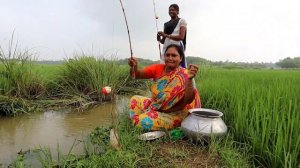 Fishing video 🐠🐠| Best Hook Fishing in paddy field | lady caught fish in the paddy field | fishing