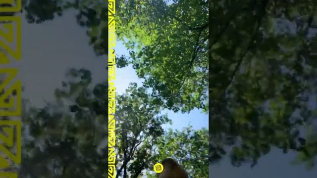 Морковь & Голуби [VZБУДНИ #01] смотреть онлайн