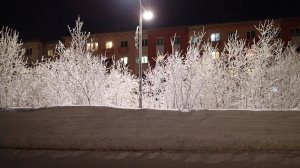 2025.02.16. Норильск. Невероятная красота по ул. Дзержинского.