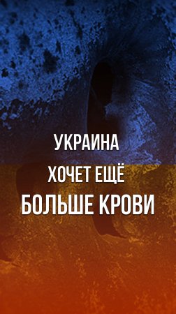 В Киеве у посольства США устроили митинг за продолжение войны с Россией