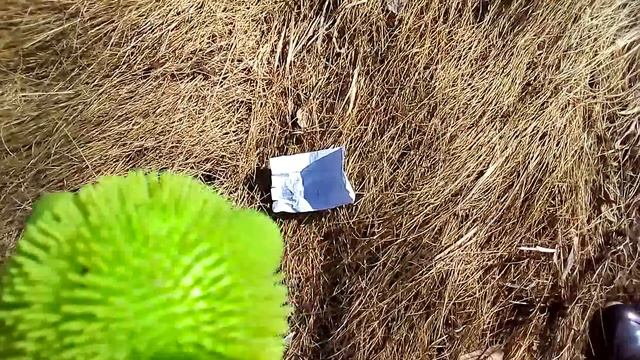 Приключения Валеры #1 (пародия на Познаватель) смотреть онлайн