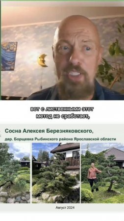 История создания ниваки. Часть 3