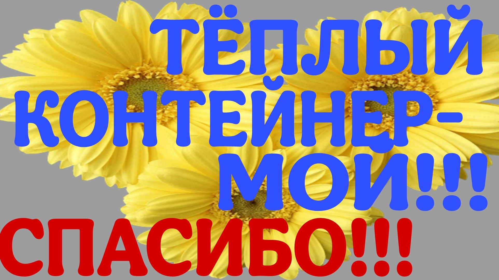 МОИ АНГЕЛЫ!!!🫂🫂🫂💝💝💝 МОИ РОДНЫЕ!!!💞💞💞 СПАСИБО!!!❤️🔥❤️🔥❤️🔥