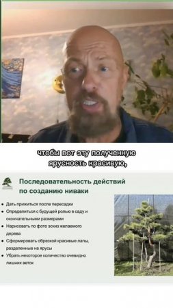 Последовательность действий по созданию ниваки. Часть 2