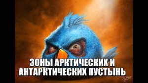 природные зоны