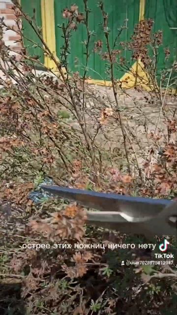 Весенние работы в саду смотреть онлайн