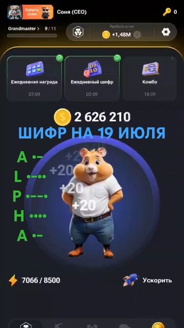 #hamsterkombat #hamster #hamsterkombatdailycombo #хомяк #комбодня #шифрхомяк #шифр #актив #кринж