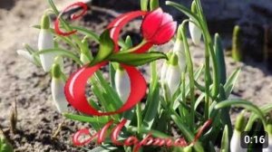 Дорогие женщины, поздравляю вас с 8 Марта! Желаю вам легкости,тепла, улыбок и прекрасного настроения