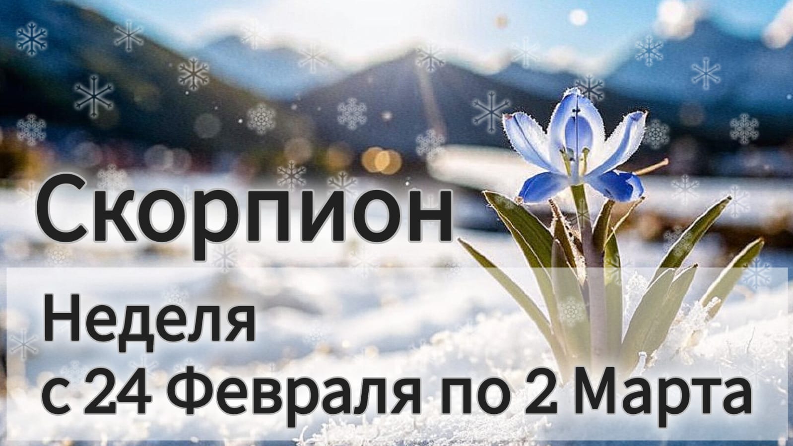🛑 Скорпион! Таро прогноз на неделю с 24 Февраля по 2 Марта!