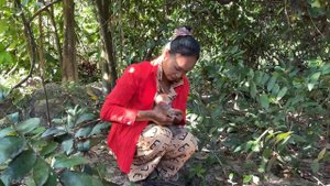 Kind Lady Found The Abandoned Baby Monkey At The Forest Near Hear Home, Adoption Process