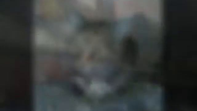 Моя кошка Муся смотреть онлайн