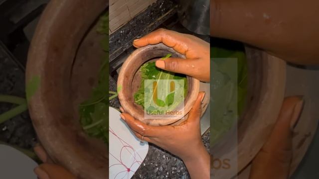 Pawpaw (papaya) leaf tea for cancer supportive treatment
