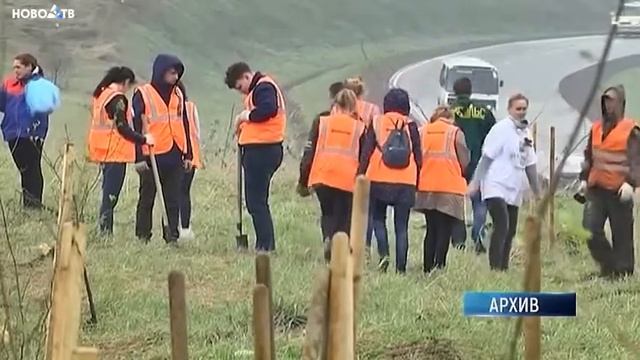 «Зеленый пояс» Новокузнецка планируют увеличить почти в два раза