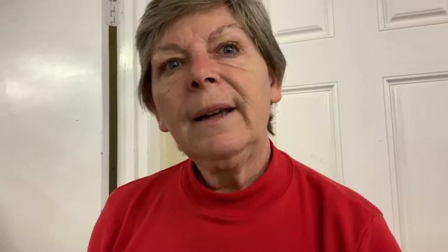 Daylily Interviews: Christmas Edition смотреть онлайн