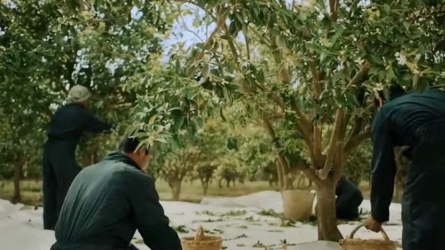 Women's Fragrance L'INTERDIT GIVENCHY (EDITION MILLESIME) смотреть онлайн