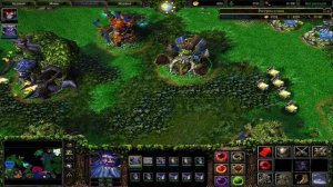 Два Брата | Глава 7 | Кампания Ночных Эльфов | Прохождение Warcraft 3 The Frozen Throne