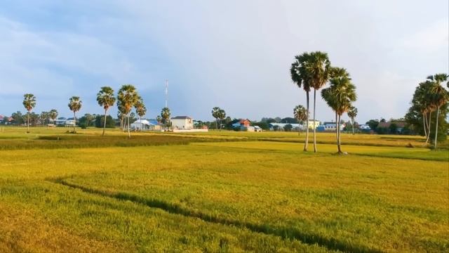 Когда муж не вернулся с рыбалки, жена подала в розыск и расклеила листовки с приметами. Вскоре ее смотреть онлайн