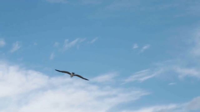 Zhu Yilong 朱一龍Louis Vuitton House Ambassador in Cannes Film Festival 2023 смотреть онлайн