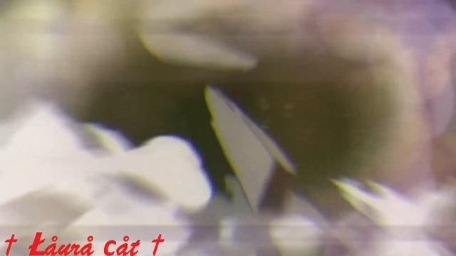 •AMV• - History (Заказ) смотреть онлайн