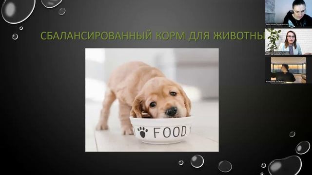 Интенсив "ProПитание". Вебинар "Условия работы со мной"
и результат минус 37 кг