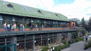 Зоопарк в Екатеринбурге.