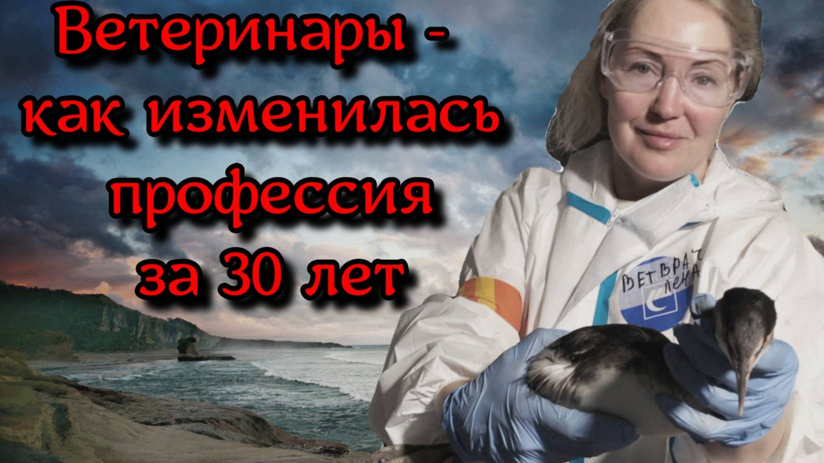 Ветеринары: как изменилась профессия за последние 30 лет