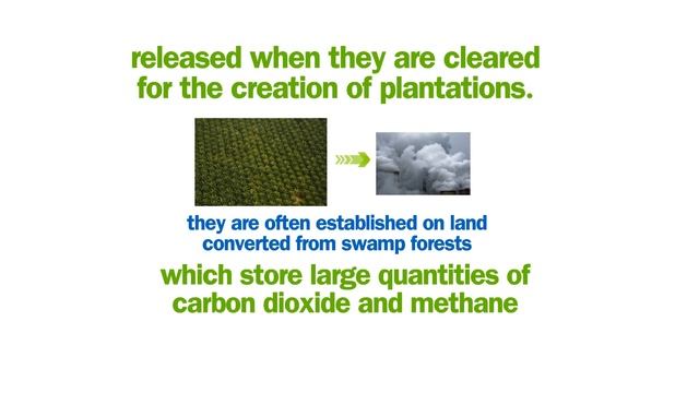 Tthe problem with Palm Oil
