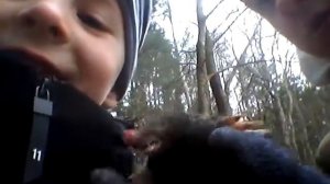 Нашли крота