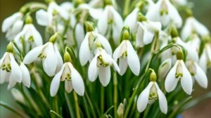 Реальные истории из жизни - Путешествие к мечте: От виртуального к реальному...