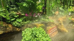 Ботанический сад Нонг Нуч 4к