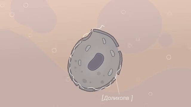 Tayga8   хвойный концентрат энергии смотреть онлайн