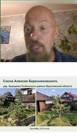 История создания ниваки. Часть 1