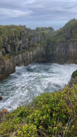 Это НЕ БЛИНЫ! Секрет Pancake Rocks #новаязеландия#интересныефакты#природа#скалы