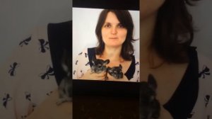 Хомки могут