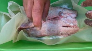 Холодное копчение рыбы. Сом. Балык из сома