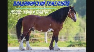 Песня: "Конь и трактор"
Эх...у Деда был конь, Владимирский тяжеловоз.
