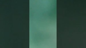 3 Маша Трактор