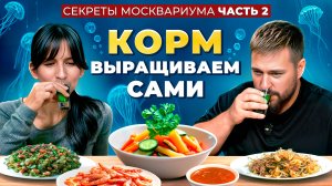 Закулисье Москвариума: чем кормят морских животных + дегустация живого корма!