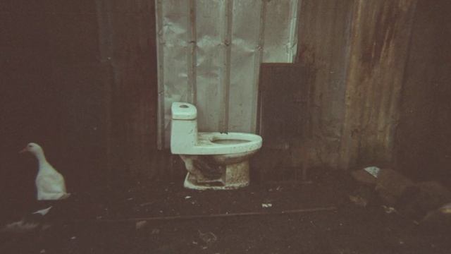 #35mm #ishootfilm #keepfilmalive #indo35mm  Harman Reusable Camera with ZEN 250 by Filmonkish